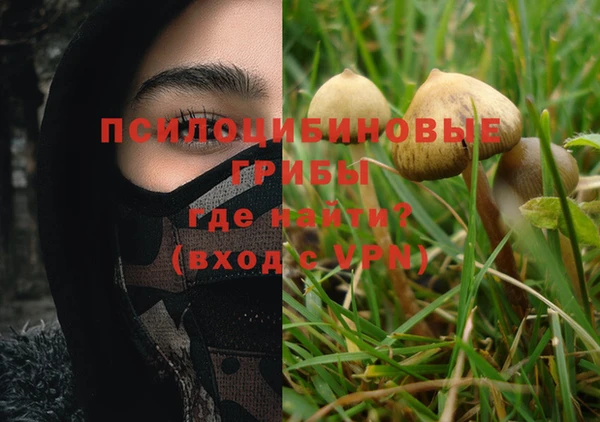 мяу мяу мука Алексин