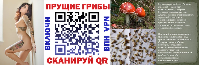 Псилоцибиновые грибы мухоморы  Киселёвск 